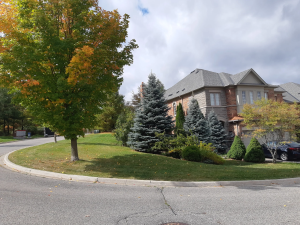 Commercial Property Care - GTA