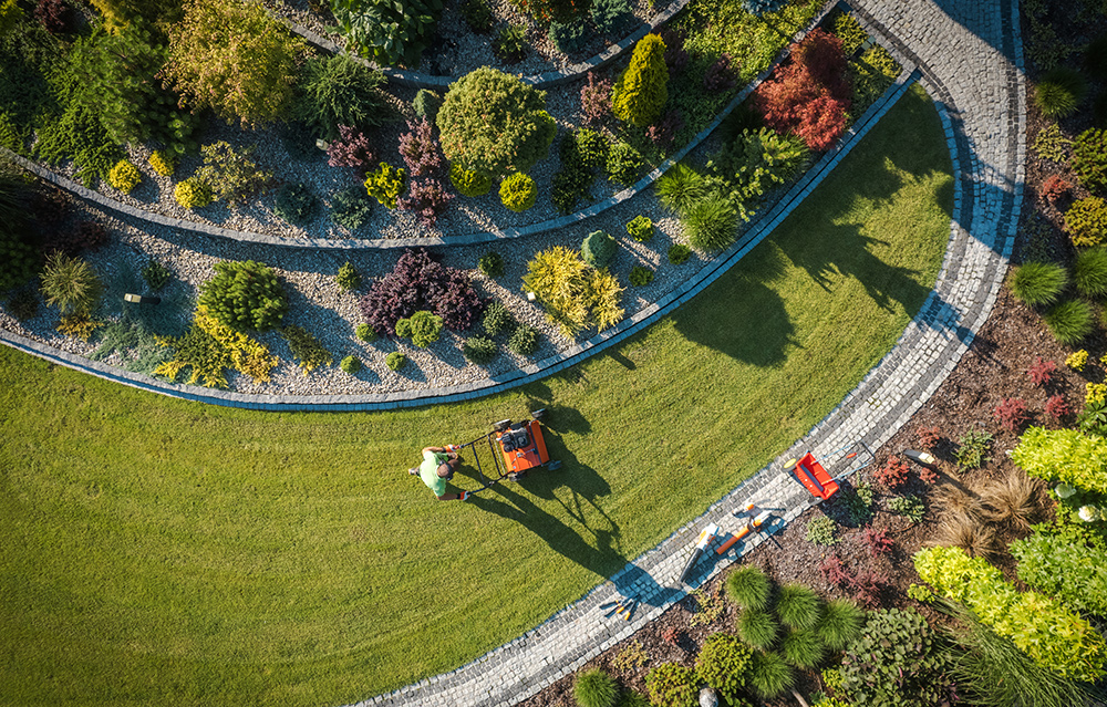 Professional Gardening Services - GTA