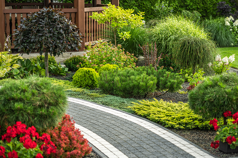 Garden Maintenance Services for Hire - GTA