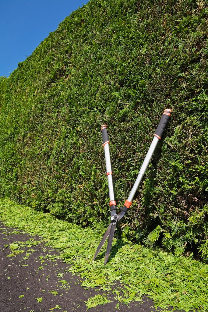 Hedge Trimming - GTA