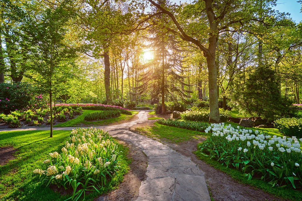 Flower Garden Maintenance - GTA