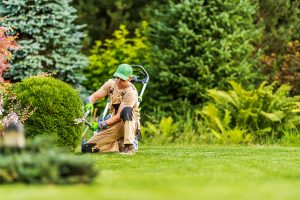 Hedge Trimming - GTA