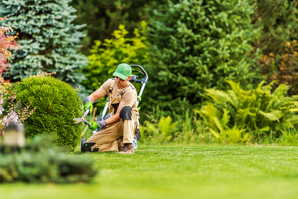 Hedge Trimming - GTA