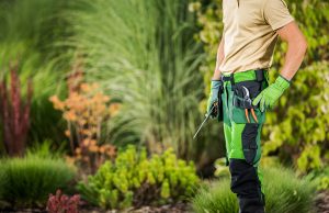 Commercial Property Care Services - GTA