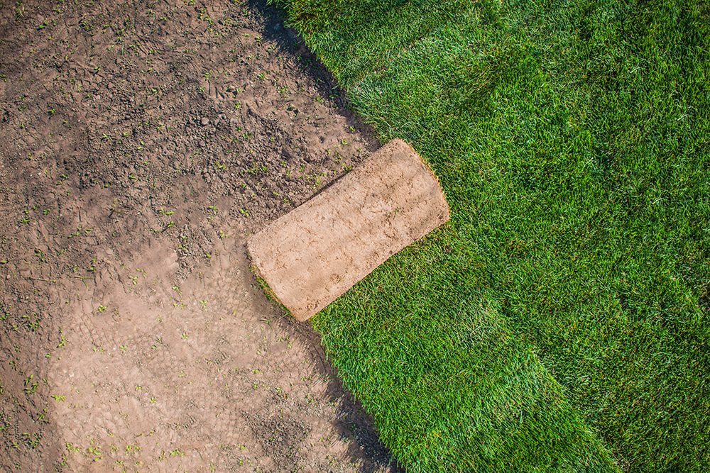 Sod Installation Services - GTA
