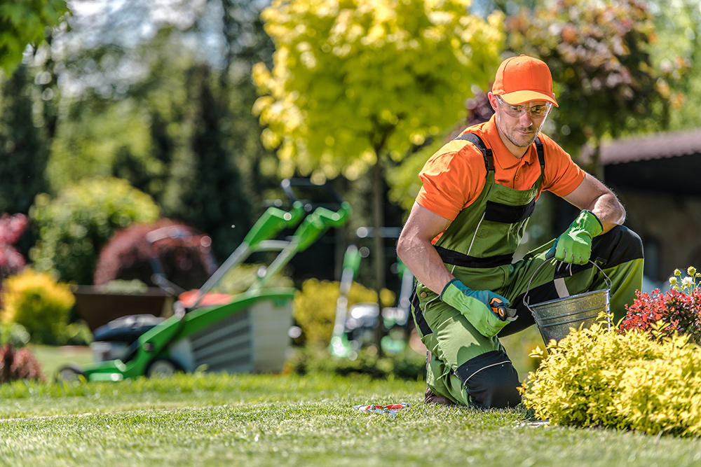 Professional Gardening Services for Hire - GTA