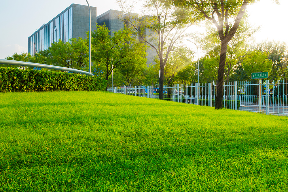 Commercial Property Maintenance - GTA