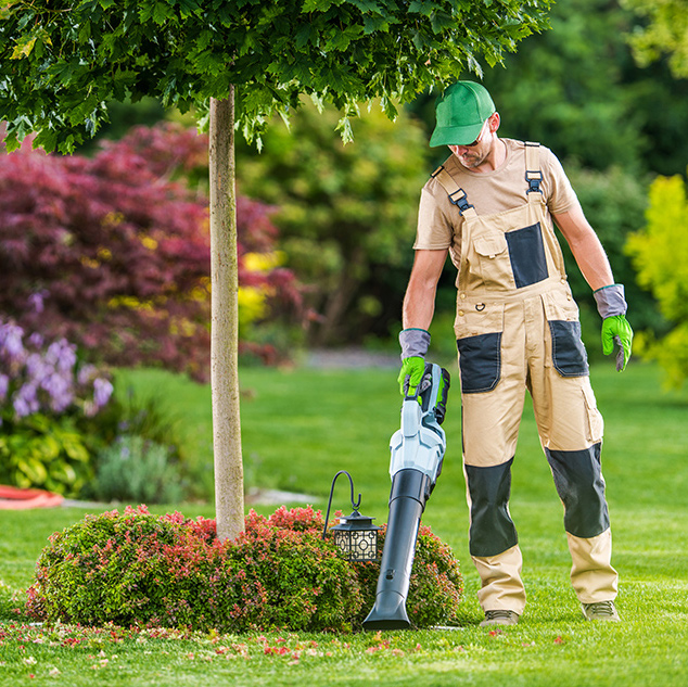 Summer Property Maintenance Services - GTA