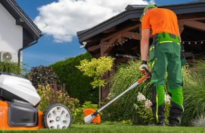 Professional Lawn Cutting Services - GTA