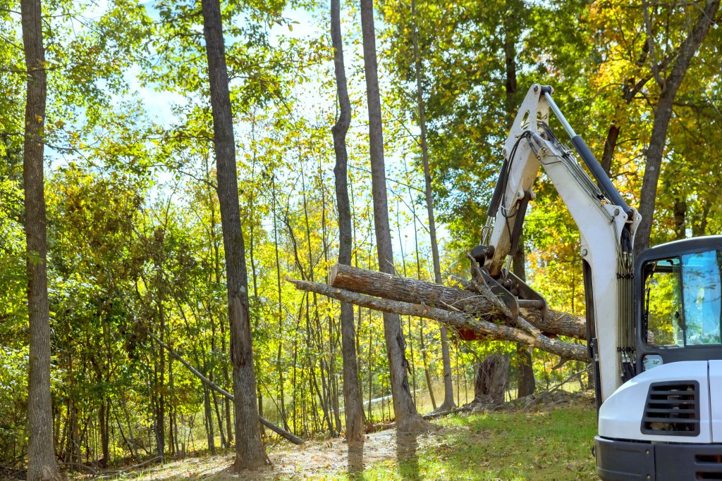 Tree Removal Services - GTA