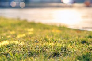 Summer Lawn Care with Mckeys Landscaping